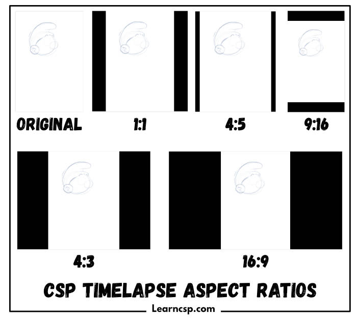 Timelapse Aspect Ratio Guide comparing the six export options from CSP